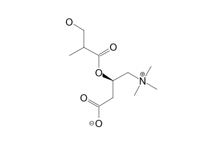 (R)-3-HYDROXY-2-METHYLPROPANOYL-(R)-CARNITINE