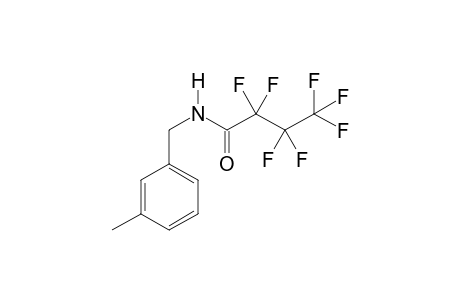 3-Methylbenzylamine HFB