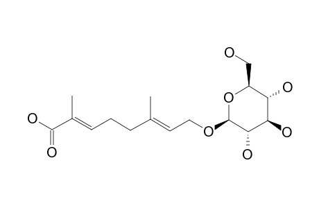 KANKANOSIDE-O;(2E,6E)-8-BETA-D-GLUCOPYRANOSYLOXY-2,6-DIMETHYL-2,6-OCTADIENOIC-ACID