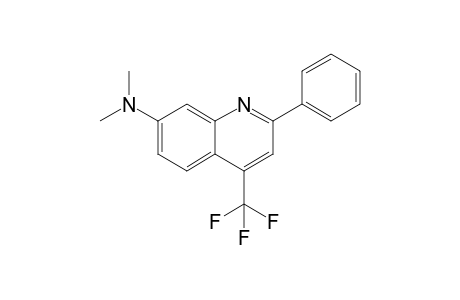 dimethyl-[2-phenyl-4-(trifluoromethyl)-7-quinolyl]amine