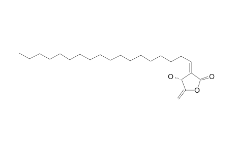 ISOMAHUBANOLIDE-23;(3R,2E)-3-HYDROXY-4-METHYLENE-2-OCTADECYLIDENE-BUTANOLIDE