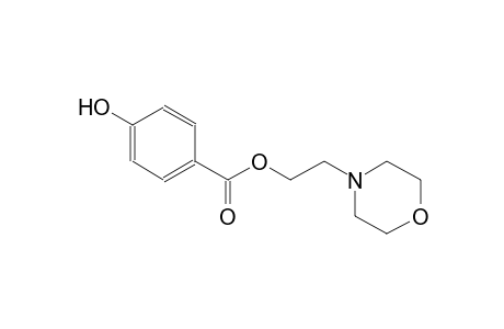 benzoic acid, 4-hydroxy-, 2-(4-morpholinyl)ethyl ester