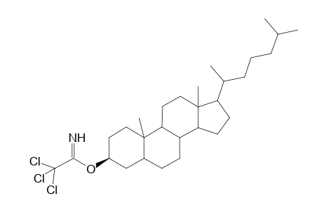 Trichloroacetimido-3.beta.-cholestanol