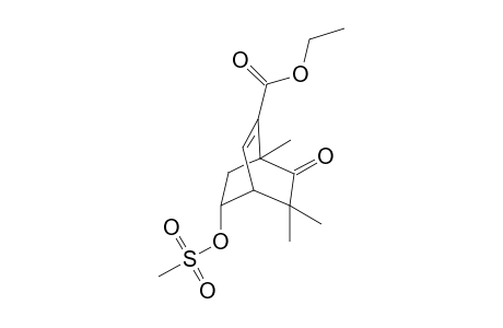 (1S*,4R*,5R)-8-(Methylsulfonyl)oxy-1,3,3-trimethyl-6-ethoxycarbonylbicyclo[2.2.2]oct-5-en-2-one