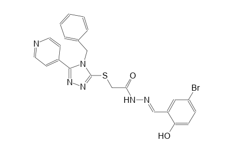 2-{[4-benzyl-5-(4-pyridinyl)-4H-1,2,4-triazol-3-yl]sulfanyl}-N'-[(E)-(5-bromo-2-hydroxyphenyl)methylidene]acetohydrazide