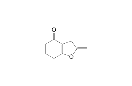 2-methylidene-3,5,6,7-tetrahydro-1-benzofuran-4-one