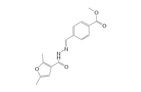 methyl 4-{(E)-[(2,5-dimethyl-3-furoyl)hydrazono]methyl}benzoate