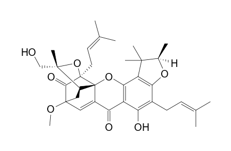 Scortechinone Q