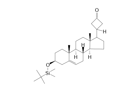 3-[(t-Butyldimethylsilyl)oxy]-24-nor-21,23-cyclochol-5-en-23-one