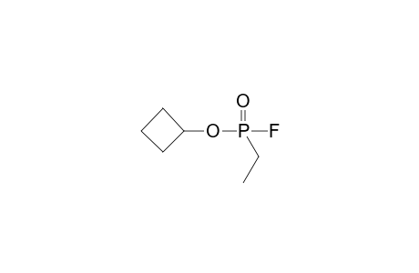 Cyclobutyl ethylphosphonofluoridoate
