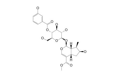 4'-O-META-HYDROXYBENZOYL-LOGANIN