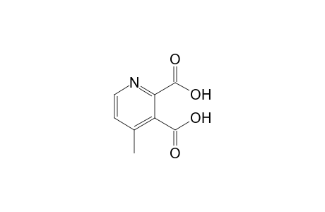 4-Methylpyridine-2,3-dicarboxylic acid