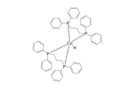 HCO(DPPE)2