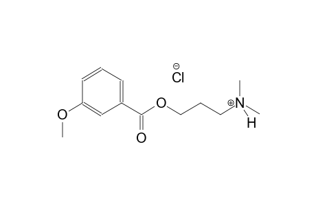 3-[(3-methoxybenzoyl)oxy]-N,N-dimethyl-1-propanaminium chloride
