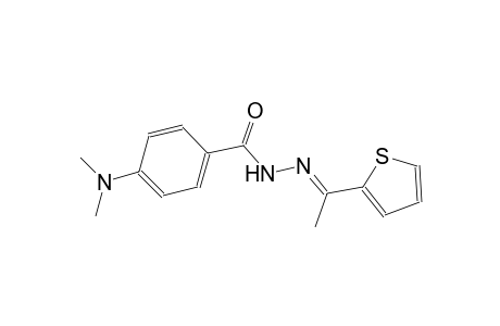 4-(dimethylamino)-N'-[(E)-1-(2-thienyl)ethylidene]benzohydrazide