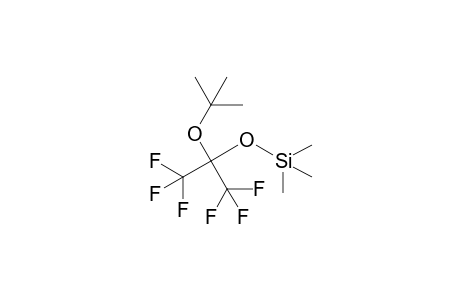 [1,1,1,3,3,3-hexafluoro-2-[(2-methylpropan-2-yl)oxy]propan-2-yl]oxy-trimethylsilane