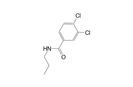 3,4-dichloro-N-propylbenzamide