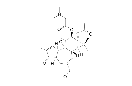 N,N-DIMETHYL-12-GLYCINOL-13-ACETYL-4-ALPHA-4-DEOXYPHORBOL