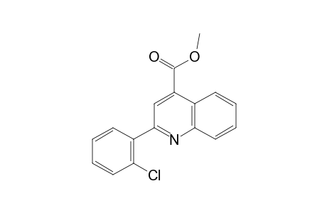 Methyl 2-(2-chlorophenyl)-4-quinolinecarboxylate