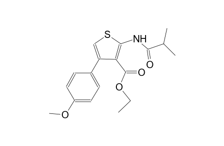 ethyl 2-(isobutyrylamino)-4-(4-methoxyphenyl)-3-thiophenecarboxylate