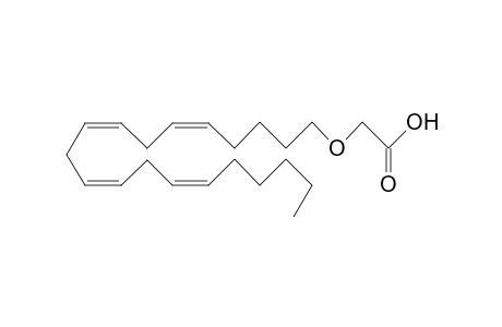 2-[(5E,8E,11E,14E)-eicosa-5,8,11,14-tetraenoxy]acetic acid