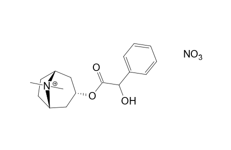 3alpha-hydroxy-8-methyl-1alphaH,5alphaH-tropanium nitrate, mandelate (ester)