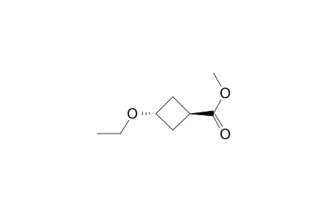 trans-Methyl 3-ethoxycyclobutanecarboxylate