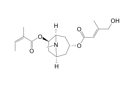 3.alpha.-(E)-4-Hydroxysenecioyloxy-6.beta.-angeloyloxytropane