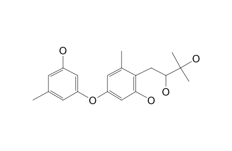 1-[2-Hydroxy-4-(3-hydroxy-5-methylphenoxy)-6-methylphenyl]-3-methylbutane-2,3-diol