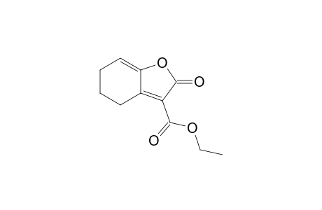 2-keto-5,6-dihydro-4H-benzofuran-3-carboxylic acid ethyl ester