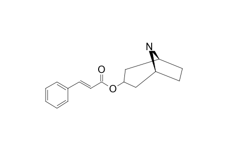 8-Azabicyclo[3.2.1]oct-endo-3-yl (E)-3-phenylprop-2-enoate (nortropinyl cinnamate)