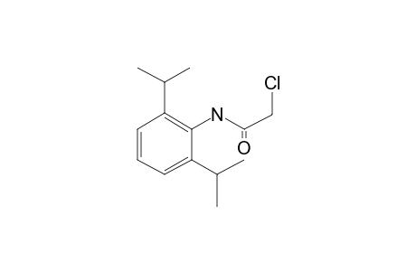 2-Chloro-N-(2,6-diisopropylphenyl)acetamide