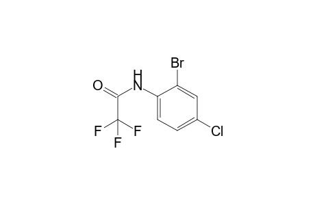 2-Bromo-4-chloro-N-trifluoroacetylaniline