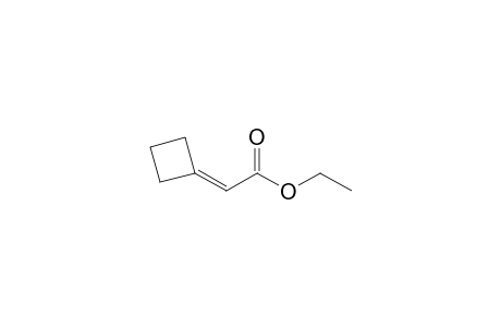 2-cyclobutylideneacetic acid ethyl ester