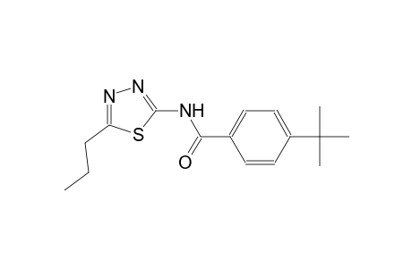 4-tert-butyl-N-(5-propyl-1,3,4-thiadiazol-2-yl)benzamide
