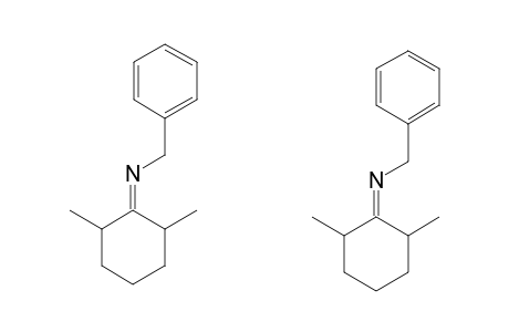 N-BENZYL-N-(2,6-DIMETHYLCYCLOHEXYLIDENE)-AMINE