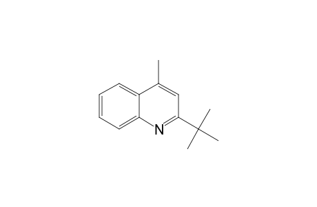 2-(1,1-DIMETHYLETHYL)-4-METHYL-QUINOLINE