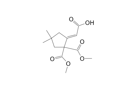 (2E)-[2,2-Bis(methoxycarbonyl)-4,4-dimethylcyclopentylidene]ethanoic acid
