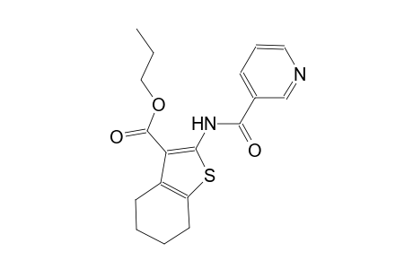 propyl 2-[(3-pyridinylcarbonyl)amino]-4,5,6,7-tetrahydro-1-benzothiophene-3-carboxylate