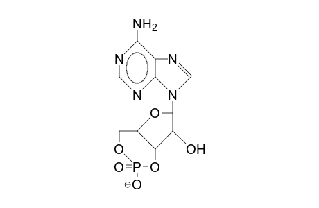 Adenosine 3',5'-cyclic phosphate anion