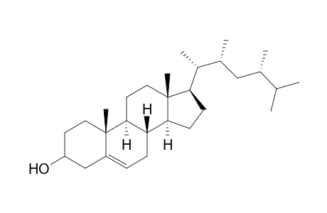 (22R,24S)-22,24-Dimethylcholesterol