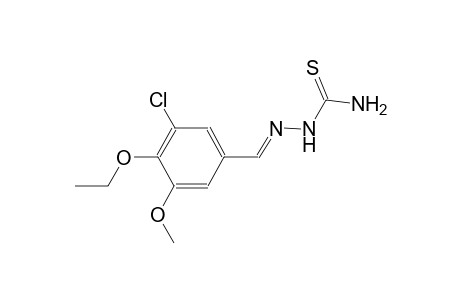 3-chloro-4-ethoxy-5-methoxybenzaldehyde thiosemicarbazone