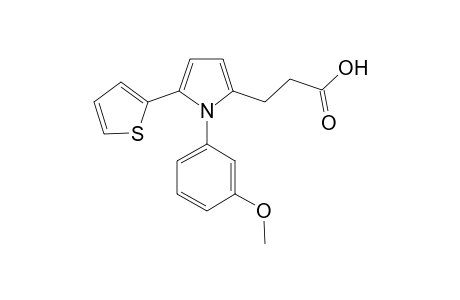 3-[1-(3-methoxyphenyl)-5-(2-thienyl)pyrrol-2-yl]propanoic acid