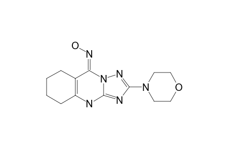 (E)-2-MORPHOLINO-5-OXIMINO-6,7,8,9-TETRAHYDRO-(10H)-[1,2,4]-TRIAZOLO-[5,1-B]-QUINAZOLINE