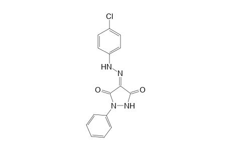 4-[2-(4-Chlorophenyl)hydrazinylidene]-1-phenylpyrazolidine-3,5-dione