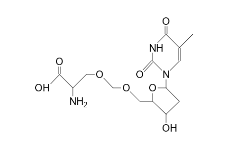3-O-(5'-O-Thymidinylmethyl)-L-serine