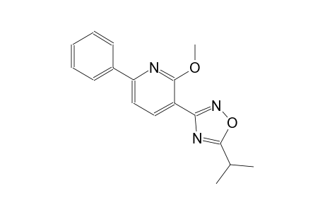 3-(5-isopropyl-1,2,4-oxadiazol-3-yl)-2-methoxy-6-phenylpyridine