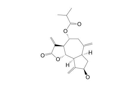 AGUERIN A