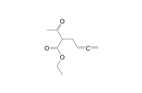 2-Acetylhexa-4,5-dienoic acid ethyl ester