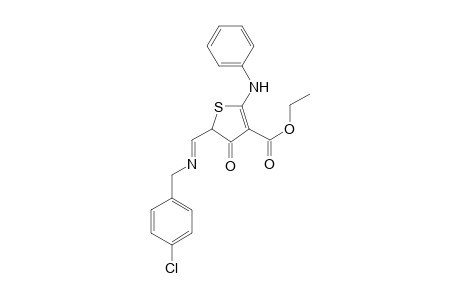 5-[(4-chloro-benzylimino)-methyl]-4-oxo-2-phenylamino-4,5-dihydro-thiophene-3-carboxylic acid ethyl ester